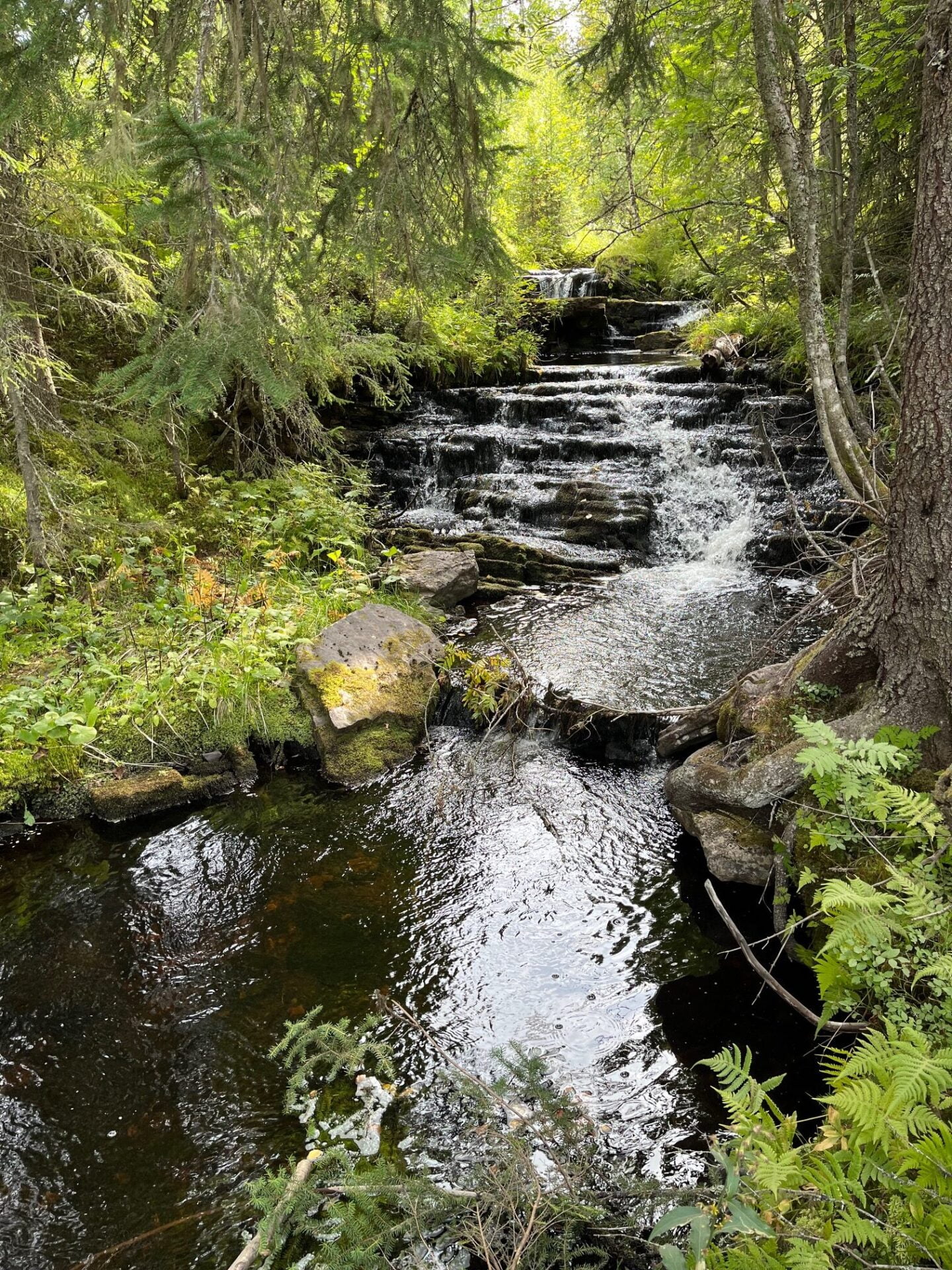 S LEN SOMMAR Boka Stuga I S len