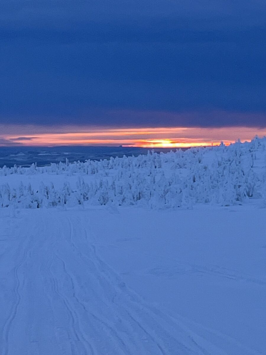 Vinter i Sälen